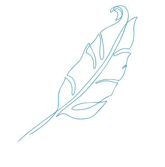 feather 45 right
